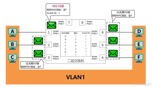 計算機網(wǎng)絡(luò)中VLAN間三層通信的模擬實現(xiàn)與安全軟件開發(fā)